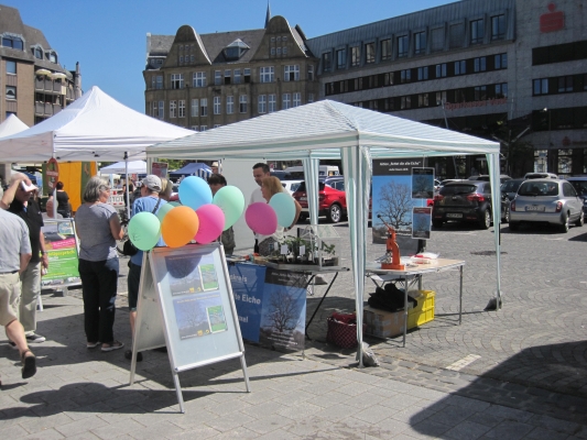Infostand des Vereins "Rettet die alte Eiche" im Juni 2019 auf dem Marktplatz Castrop