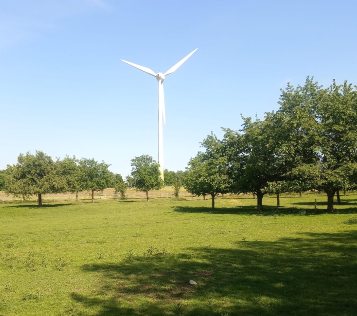 eine Windenergieanlage auf Theos Feldern 